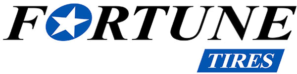 FORTUNE Logo